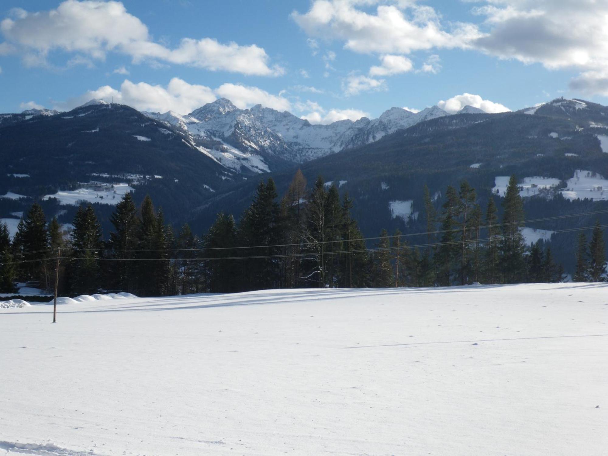 Austrian Alpine Apartments Ramsau am Dachstein Exterior foto